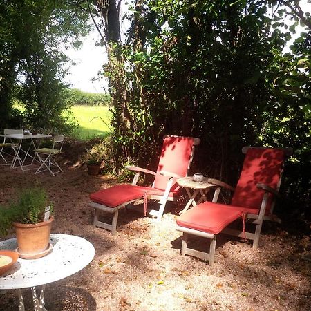 Apartamento The Potting Shed Little Torrington Exterior foto