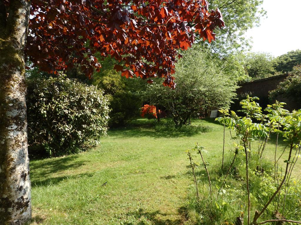 Apartamento The Potting Shed Little Torrington Exterior foto